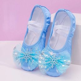 Lovely Princess Dance Soft Soled Ballet Shoe Children Girls Cat Claw Chinese Ballerina Exercises Shoes L2405 L2405