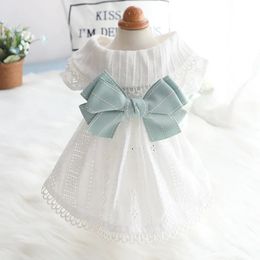 Dog Clothes Spring and Summer Thin Skirt Lolita Princess Mint Butterfly Cat Pet 240515