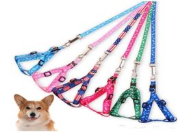 10120cm Dog Harness Leashes Nylon Printed Adjustable Pet Dog Collar Puppy Cat Animals Accessories Pet Necklace Rope Tie Collar E4804080