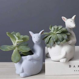 Planters Pots Cute Cartoon Ceramic Flower Pot Vase Kangaroo Cactus Potted Succulent Pot Flowerpot Plant Accessories Garden Planting Vase J240515