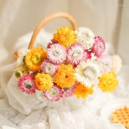 Decorative Flowers Yellow Pink White Natural Dried Flower Daisy Dry Wedding Bouquet Preserved Home Living Room Table Decoration