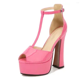 Dress Shoes Summer 4 Colors Peep Toe Patent Leather 14CM Thick Heel Platform T-strap Ladies Sandals Women's Sweet Dancing Pumps