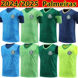 24/25 Palmeiras DUDU tracksuit 2024 BRENO LOPES RONY G.GOMEZ Shirt D.Barbosa LUCAS LIMA G.MENINO MINA G.VERON short sleeves short sleeve training clothes AAA