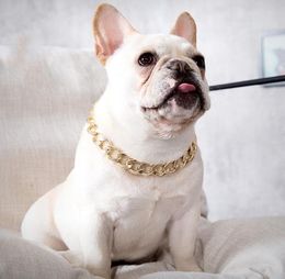 Hip hop Teddy fadou dog big gold chain small and medium Dog Collars pet Necklace cat accessories 4 color T2I518601370237