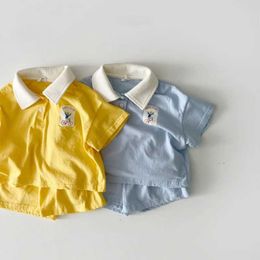 Clothing Sets Boys Summer Fashion Polo Set Childrens Simple Polo Neck T-shirt Loose Cotton Shorts 2-piece Set WX14964