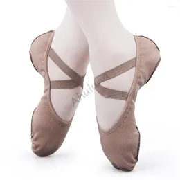 Dance Shoes Women Girls Ballet Stretching Cloth Flats Canvas Stretch Fabric Upper Dancing Sneakers For Adults Kids DS117