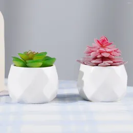 Decorative Flowers Simulation Plant Succulent Bonsai Mini Small Tree Pot Grass For Garden Home Office Table Decoration Fake Flowerpot
