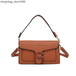 Luxury Brand High-end Texture Handbag for Womens 2024 New Versatile Single Shoulder Crossbody Bag Exquisite Trendy Small Square Bag VEOU