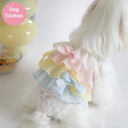 Dog Apparel Skirt Summer Pet Clothing Cat Tutu Dress Yorkies Pomeranian Shih Tzu Maltese Poodle Bichon Schnauzer Puppy Clothes