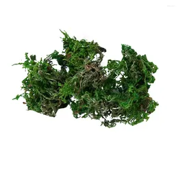 Decorative Flowers 5 Bags Moss Stabilized Artificial For Decoration Garden Mini House Lifelike