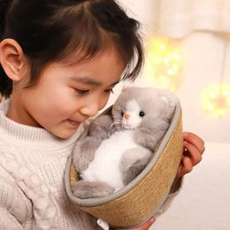 Simulation Cats Plush Toy Lifelike Cute Kitty Stuffed Doll Lovely Dog Baby in the Nest Toys Home Decor Gift For Girls Birthday