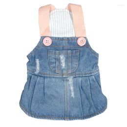 Dog Apparel Denim Dress Jeans Skirt Spring Summer Pet Clothes Cat Puppy Doggy Clothing T-shirt Vest Outdoor Bichon Chihuahua Coat