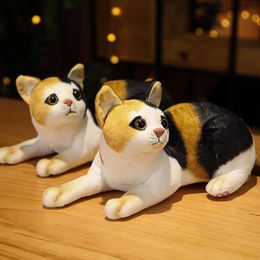 Kawaii Lifelike Cat Plush Doll Stuffed Soft Sleep Toy Cats Pets Animal Girls Christmas Gift Pet Toys