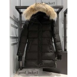 Goose Jacket Designer Canadian Men's And Women's Down Parkas Jackets Work Clothes Jacket Fashion Warm Keeping Couple Live Coat Goode Canadas Goosejacket 556