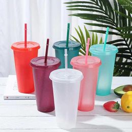 Mugs Glitter Straw Cups Reusable Plastic TumblerWith Lid Outdoor Drinkware Portable Cup Coffee Juice Supplies