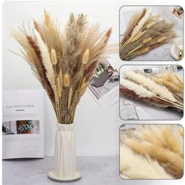 Decorative Flowers Natural Dried Flower Fluffy Pampas Tail Grass Bouquet Boho Home Comfort Decor Reed Wedding Tables Accessories