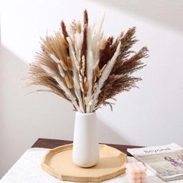 Decorative Flowers Natural Pampas Grass Boho Decor For Vase Fluffy Pompas Dried Flower Wedding Floral Arrangements Room Home DIY