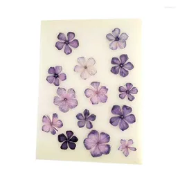 Decorative Flowers Pressed Real Dried Flower Dry Plants For Candle Epoxy Resin Pendant Necklace Jewelry Making Craft DIY Scrapbooking