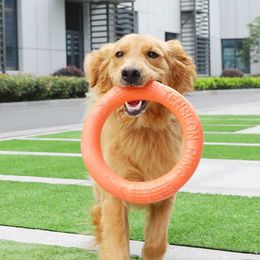 Kitchens Play Food Dog Frisbee Floating Water Pet Toy Dog Training Ring Interactive Toy Small Medium and Large Dogs Chewing Resistant S24516