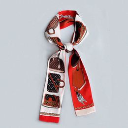 Scarpa di seta designer per donne sciarpe primavera/estate Nuova piccola sciarpa lunga per lo stile da donna che indossa abiti per cicatrici accessori per capelli