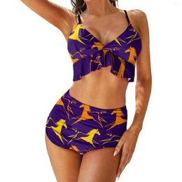 Women's Swimwear War Horse Bikini Swimsuit Abstract Animal High Waisted Sexy Trendy Set Push Up Beachwear Birthday Gift