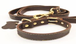 Collar Leash Set for Small Dogs Leather Necklace for Chihuahua French Bulldog Puppy Drop LC0193 Y2005154758358