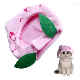 Dog Apparel Cats Caps Pet Products Adjustable Size Washable Cute Design Adorable Plush Peach Cat Hat For Small Medium Large Dogs