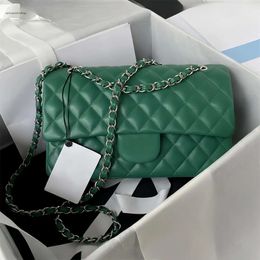 10A Retro Mirror Quality Designers Classic Double Flap Bags 25cm Medium Womens Handbag Real Leather Caviar Lambskin Green Quilted Purse Cro