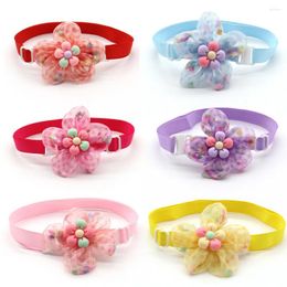 Dog Apparel 100pcs Accessories Spring Cat Bow Ties Flowers Puppy Bowties Collar Pet Grooming Products