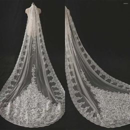 Bridal Veils White Wedding Lace Appliqued Pattern Cathedral Veil One-Layer With Comb 300cm Length Width