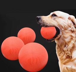 Kitchens Play Food Interactive bite resistant rubber ball for dog training with rope solid elastic ball dog plush toy pet toy S24516
