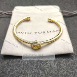 2024 New David Yurma Bracelet Designer Bracelet DY Bracelet Jewelry Fashion Retro Classic Jewelry Top Quality Bracelet Men Women Bracelet Jewelry Festival Gift 38e
