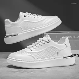 Casual Shoes Male 2024 Summer Autumn Mesh Breathable All-match White Sneaker Fashion Slip On Flats Walking Tenis Sport