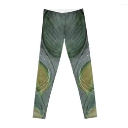 Active Pants Sea Elf Leggings Gym's Clothing Training Sports For Push Up Womens