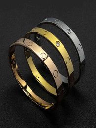 luxury Bangle women stainless steel screwdriver couple gold bracelet men fashion jewelry Valentine Day gift for girlfriend accesso7881021