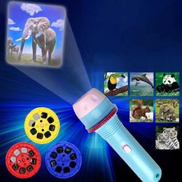 Other Toys Childrens slide projector animal fruit dinosaur cartoon pattern projection flash toy baby sleep luminous night light toy s245176320