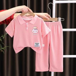 Clothing Sets Summer baby girl clothing set childrens flip collar ice silk T-shirt and pants 2-piece set childrens casual top WX