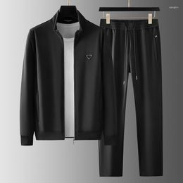Men's Tracksuits Accessible Luxury Silky Stretch Autumn Stand Collar Two-Piece Set