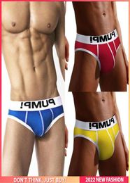 Underpants 3pcs Baumwolle schnell trocken sexy Mann Unterwäsche Kurzmänner Innerwear Gay Panties Jockstrap Men039s Briefs Mens Swim6810562
