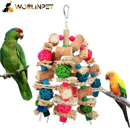 Other Bird Supplies Parrot Toys Natural Corn Cob Chew For Small And Medium-Sized Macaws African Grey Cockatoos Amazon Parrots Pa