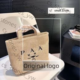 Camera Bag Women Woven Bag Designer Bags Embroidered Shoulder Bag Re Nylon Handbag Luxury Tote Bag High Quality Crossbody Bag Straw Bag Underarm Bag Chain Purses 3827