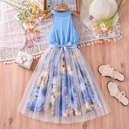 Girl's Dresses Girls Blue Sleeveless Printed Tutu Dress 2024 New Birthday Party Princess Dress 8-12 Year Old Childrens Clothing WX