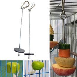 Other Bird Supplies Toy Skewer Fruit Spear Hanging Holder Pet Parrot Parakeet Feeding Fork Stainless Steel Stick For Vegetable