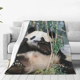 Blankets Fubao Aibao Panda Fu Bao Blanket Soft Plush All-Season Comfort Throw For Bedding Travel Camping