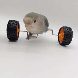 Other Bird Supplies Creative Pet Parrot Balance Car Toys Small Medium-Sized Roller Skateboard Skill Training Props