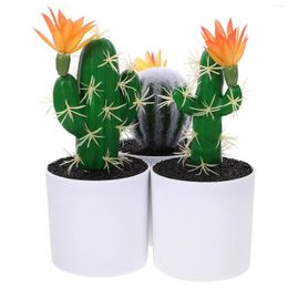 Decorative Flowers 3 Pcs Artificial Cactus Plants Indoor Mini Decor Simulation Bonsai Fake Potted Ornament Plastic Figurines