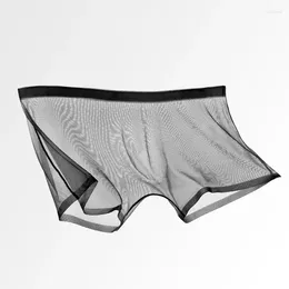 Underpants Transparent Boxers For Men See Through Male Sexy Low Waist Panties Lingerie Intimates Mesh Ice Silk Boxer Pants