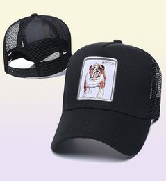 2021 Luxury Embroidered high quality Baseball Cap Men Golf snapback Designer fashion Women style animal hat HHH2556773