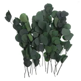 Decorative Flowers Preserving Dried Eucalyptus Stems Leaves Decor Real Bouquet Bundle Tall Preserved Flower Centrepieces Plant