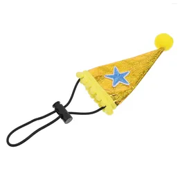 Dog Apparel Pet Hat Lizard Birthday Belts Decorative Cone Christmas Halloween Cosplay Conical Cap Costume